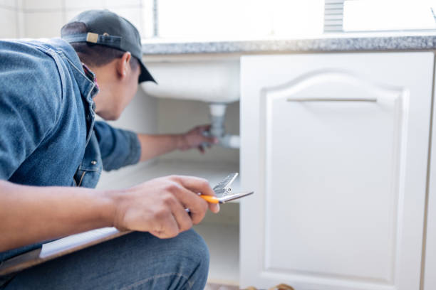 Best Affordable Plumbing Services  in Grand Ledge, MI