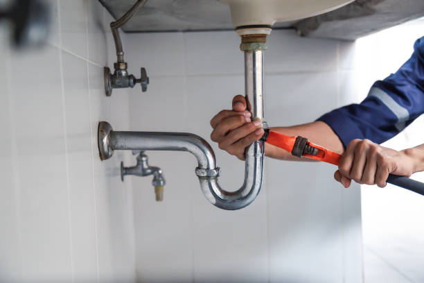 Best Plumbing Inspection Services  in Grand Ledge, MI